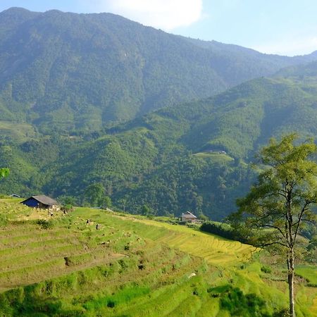 Sapa Hmong Bungalow Homestay Exterior photo