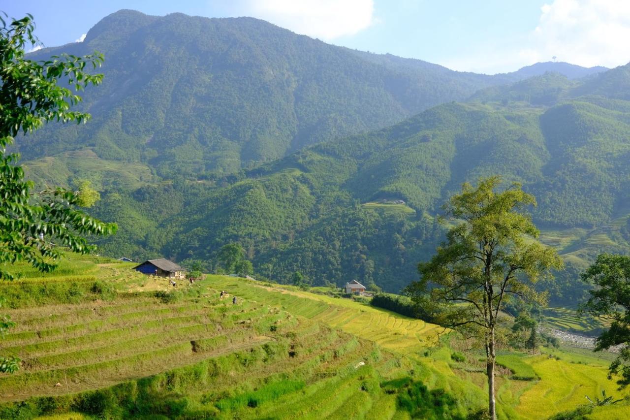 Sapa Hmong Bungalow Homestay Exterior photo