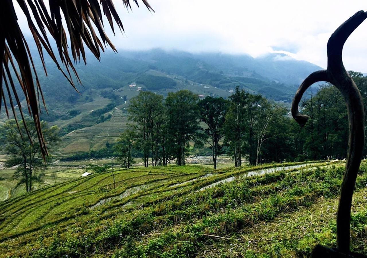 Sapa Hmong Bungalow Homestay Exterior photo